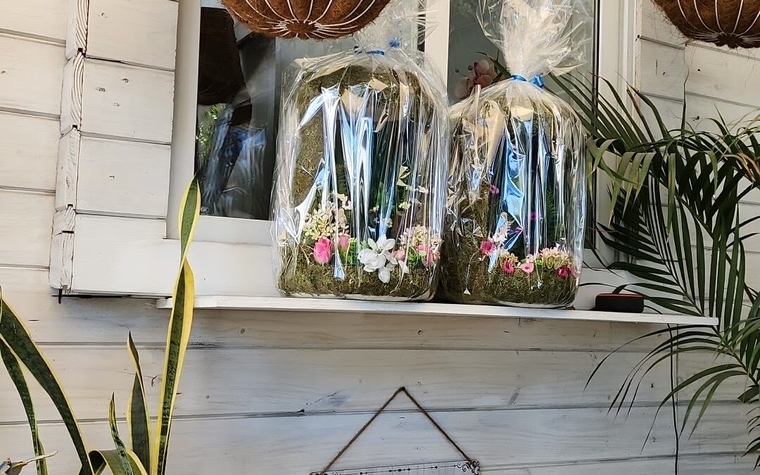 Rebirth Boutique – Vêtements à Pétion-Ville