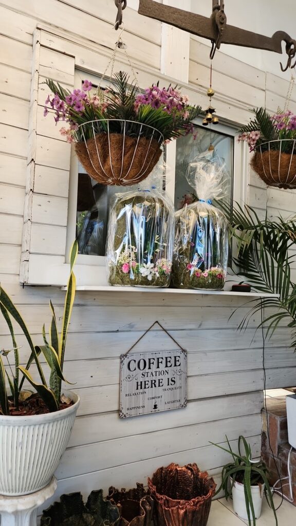 Rebirth Boutique – Vêtements à Pétion-Ville