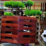 Radayxa Hotel Bar Restaurant