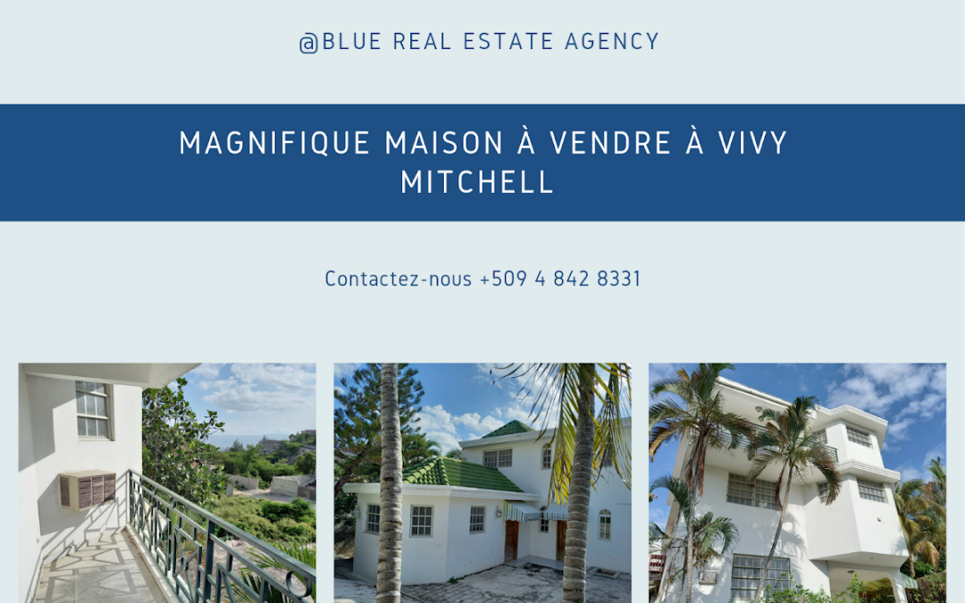BLUE REAL ESTATE AGENCY