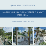BLUE REAL ESTATE AGENCY