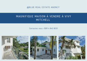 BLUE REAL ESTATE AGENCY