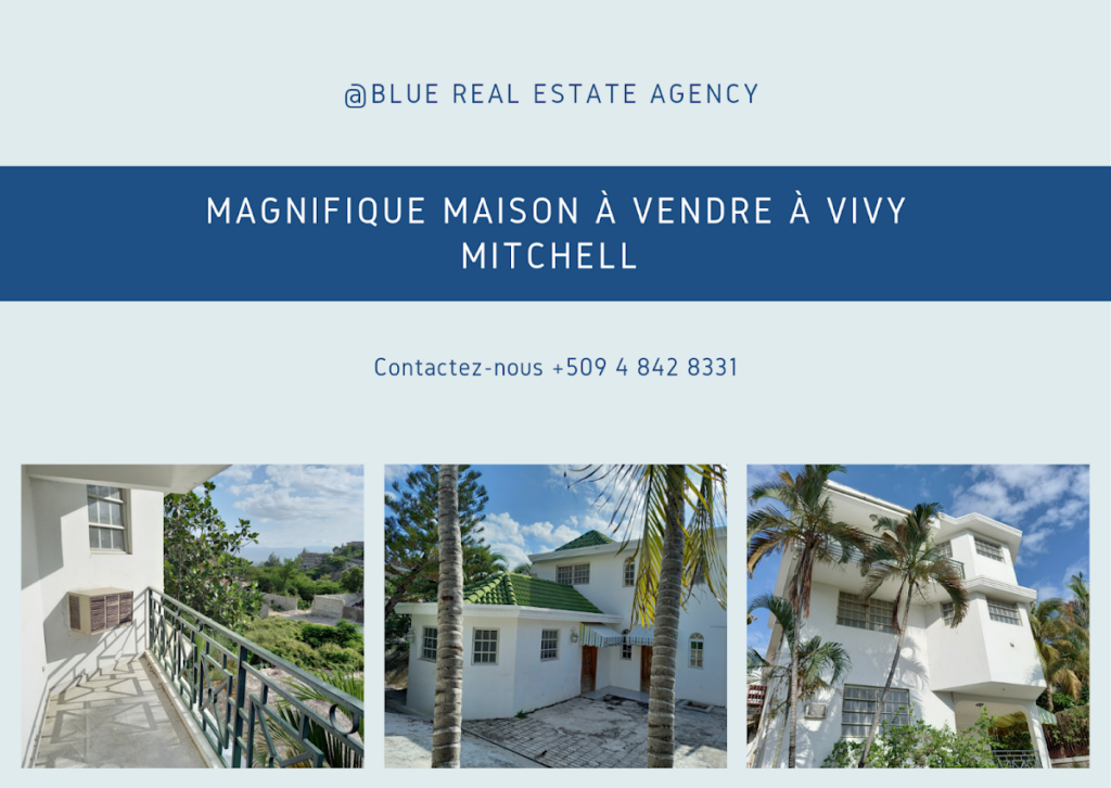 BLUE REAL ESTATE AGENCY