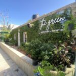 The Green Hair Salon + Beauty Bar | Pétion-Ville