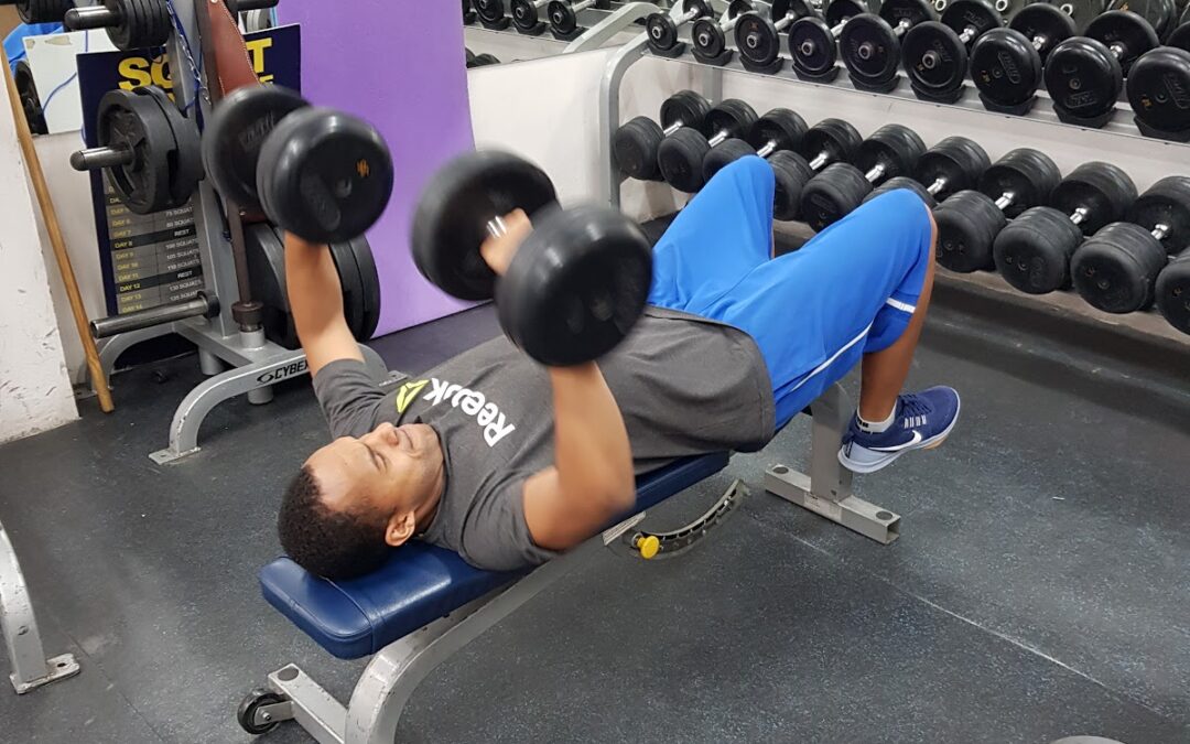 Fit Zone – Salle de Sport à Port-au-Prince | Borno