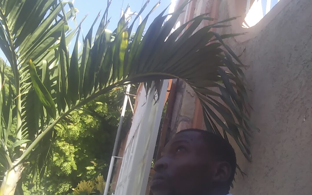 Station Taxi Delmas 75 Rue Faustin Premier | Port-au-Prince