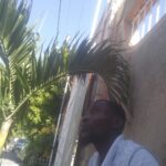 Station Taxi Delmas 75 Rue Faustin Premier | Port-au-Prince