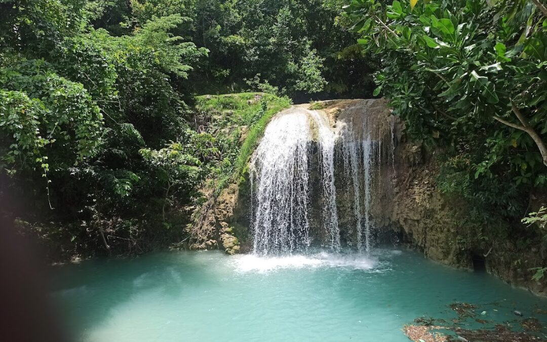 Cascade Touyac – Attraction Touristique Port Salut