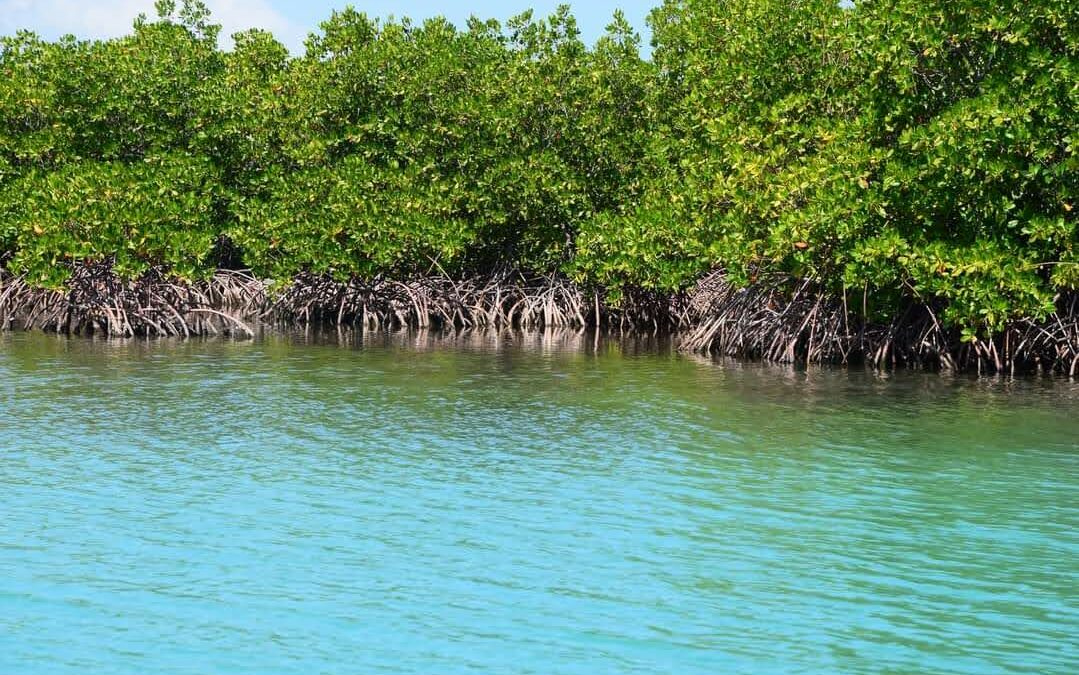 Haïti – Attraction Touristique à Les Cayes