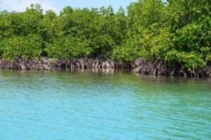 Haïti – Attraction Touristique à Les Cayes