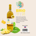 BRIOnline Store – Boutique de Vêtements à Les Cayes