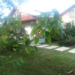 Kiskeya Guesthouse – Hébergement à Léogâne