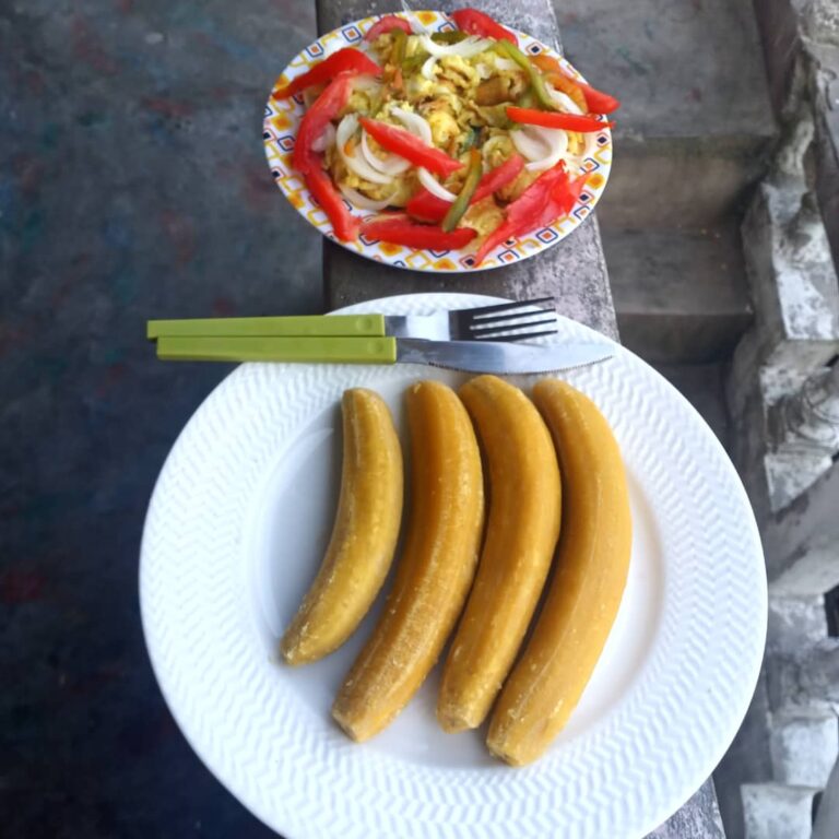 Chez YLLIA Restaurant | Restaurant à Abricots Haïti