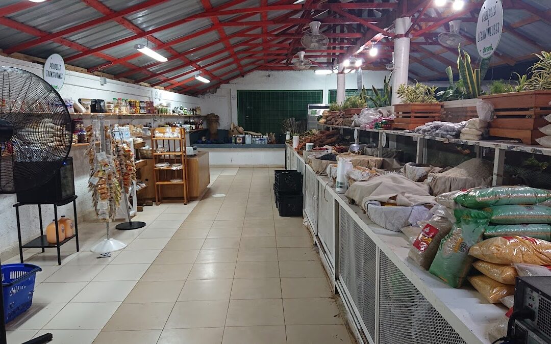 Avani: Marché de Produits Locaux à Port-au-Prince