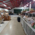 Avani: Marché de Produits Locaux à Port-au-Prince