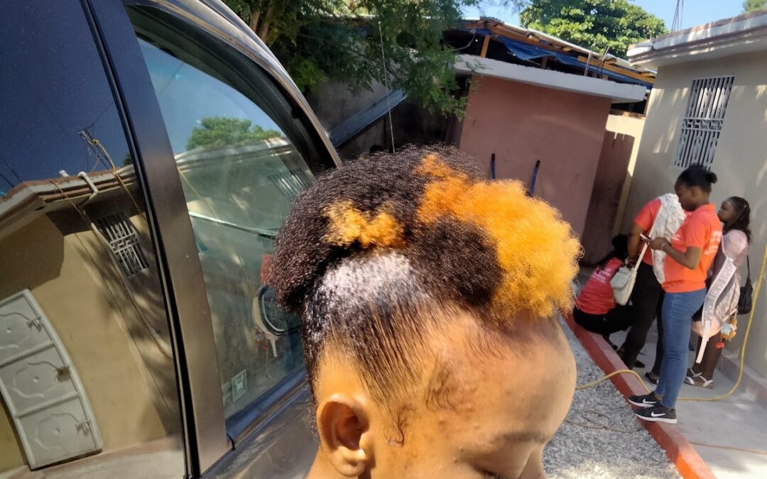 UPADEC Haiti – Soins Animaux à Croix-des-Bouquets