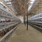 1Harmony Farm – Élevage d&rsquo;Animaux à Port-au-Prince