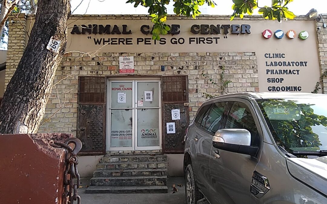 Animal Care Center Haiti – Vétérinaire Pétion-Ville
