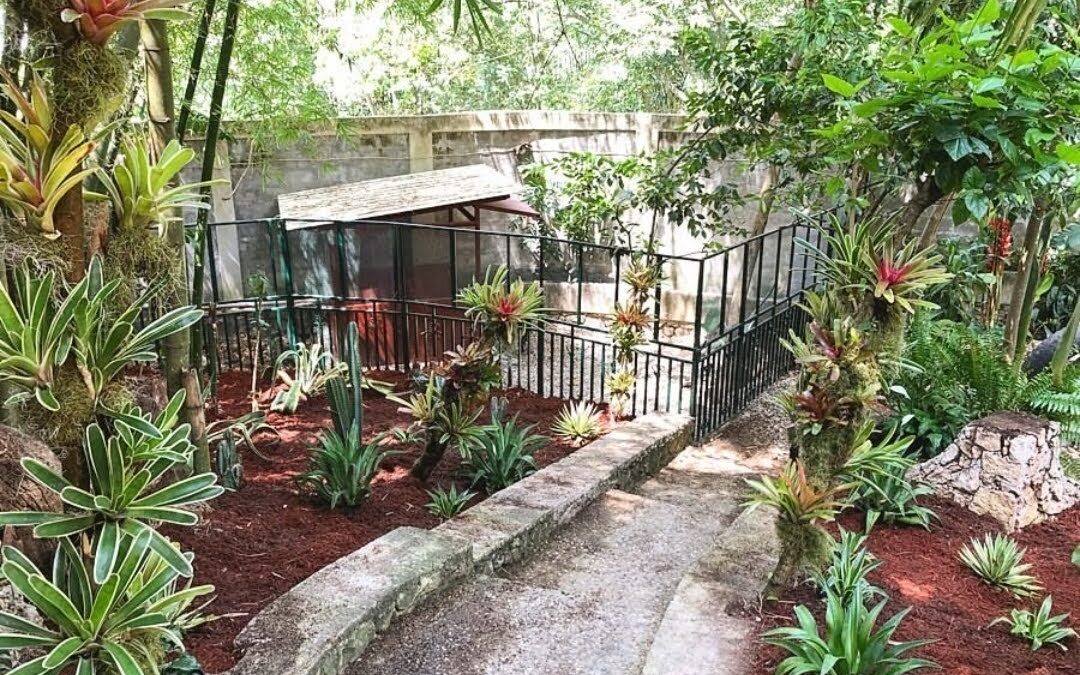 TM Centre Diagnostic Animaux Petion-Ville | Vétérinaire