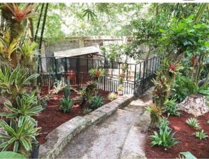 TM Centre Diagnostic Animaux Petion-Ville | Vétérinaire