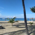Haitian Creole Tour – Visites Guidées Cap-Haïtien