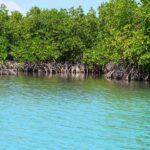 Parc d&rsquo;Amusement Haïti – Loisirs aux Cayes