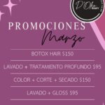 Dominican Hair Salon
