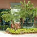 Tropical Financial Credit Union