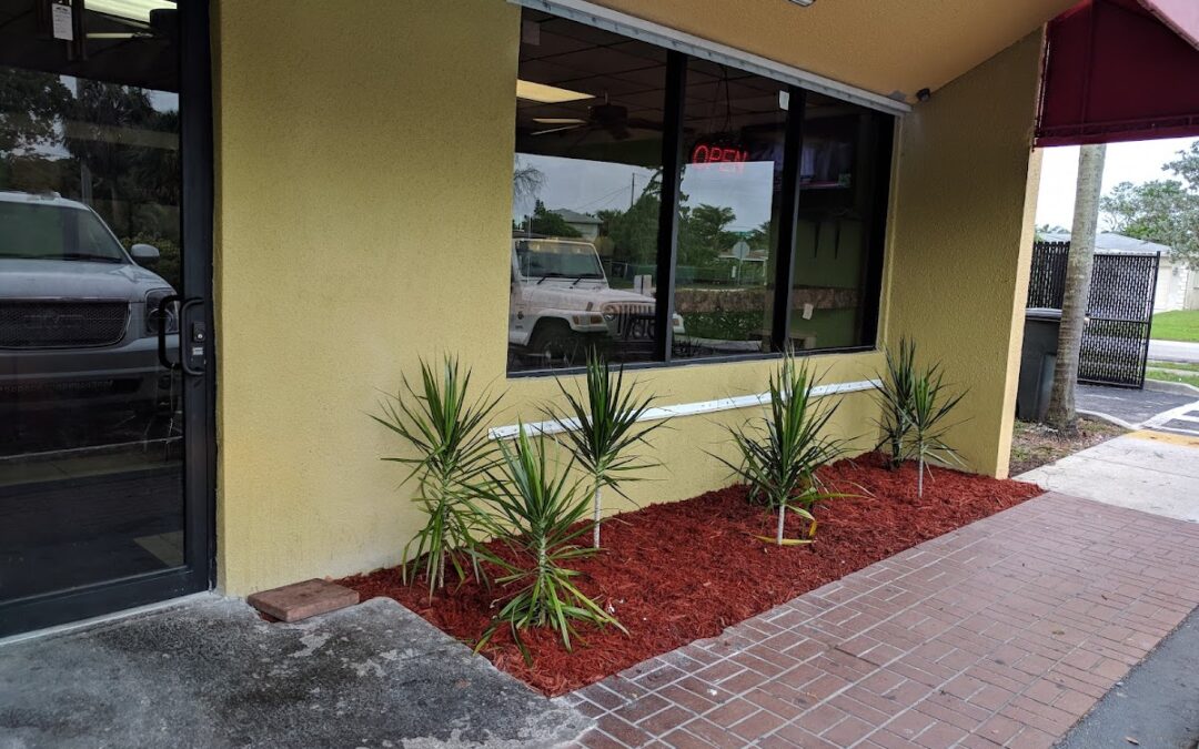 A&E Caribbean Cafe