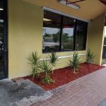 A&E Caribbean Cafe