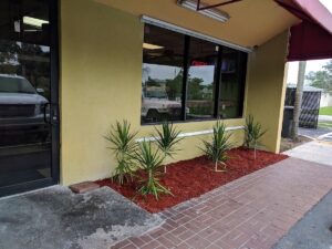 A&E Caribbean Cafe