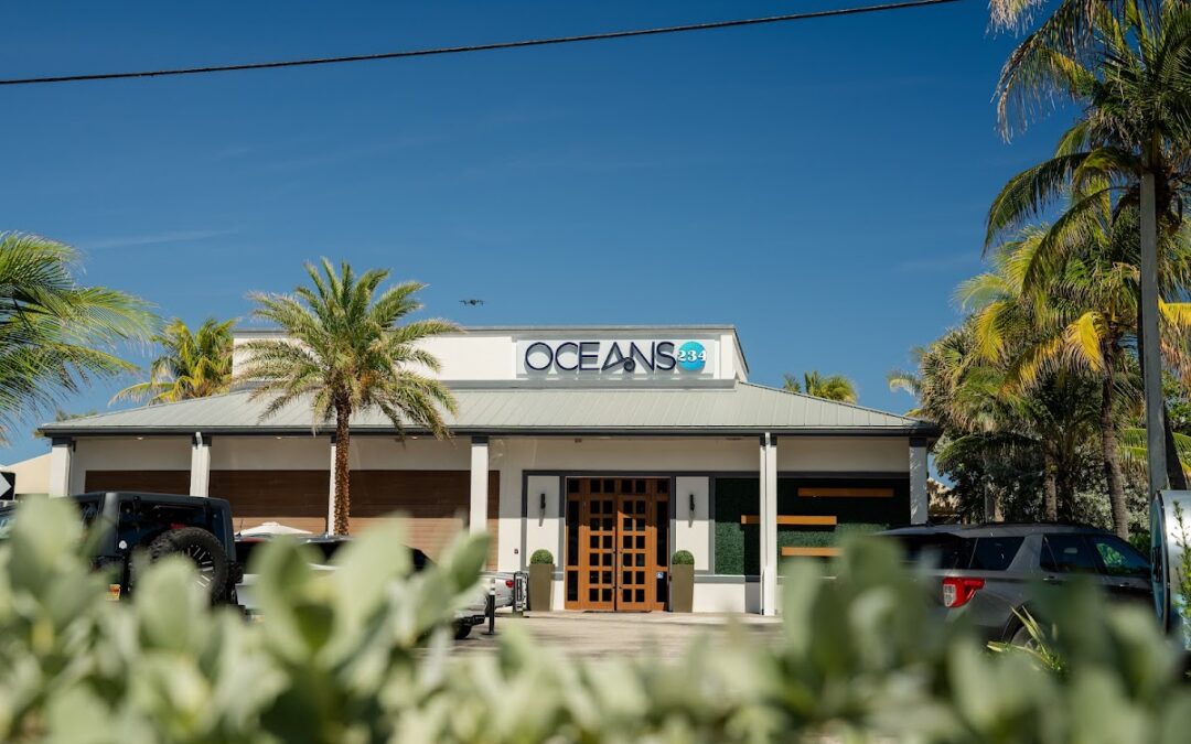 Oceans 234