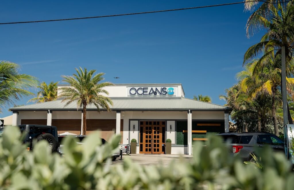 Oceans 234